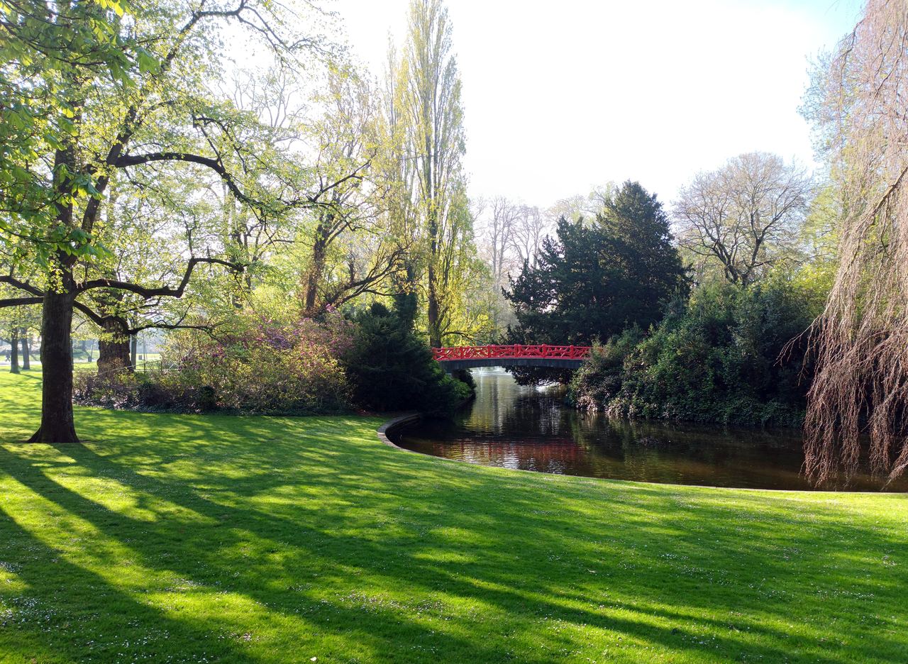 Grasveld, bomen en de rode brug over de vijver in Park Valkenberg