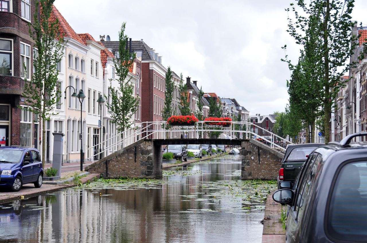 Gracht van de Turfmarkt met waterlelies en de witte Trappenbrug met rode bloembakken, tussen rijen grachtenpanden