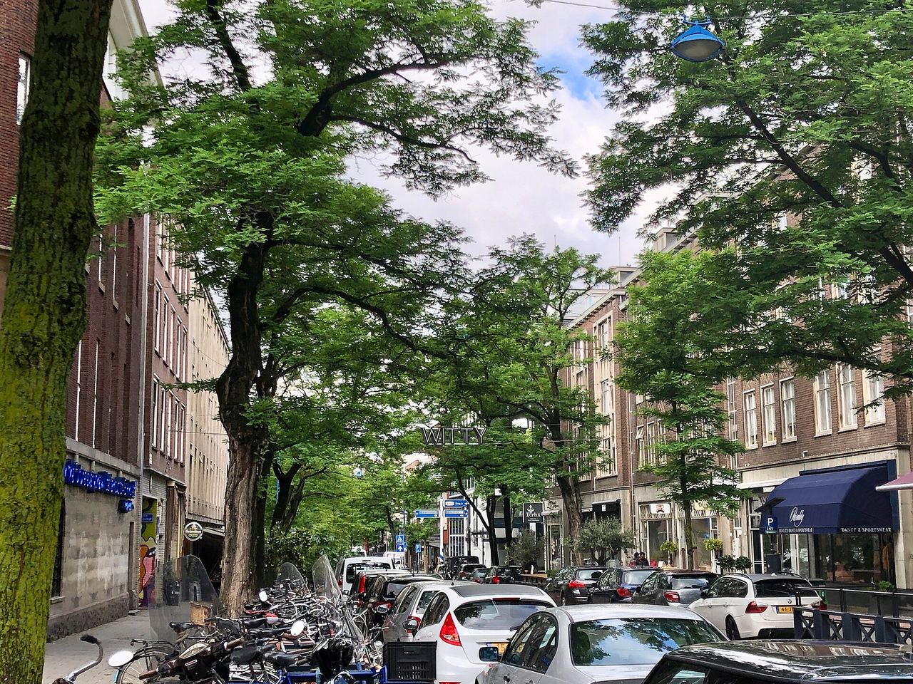 De Witte de Withstraat met hoge bomen, geparkeerde fietsen en panden met winkels en cafés