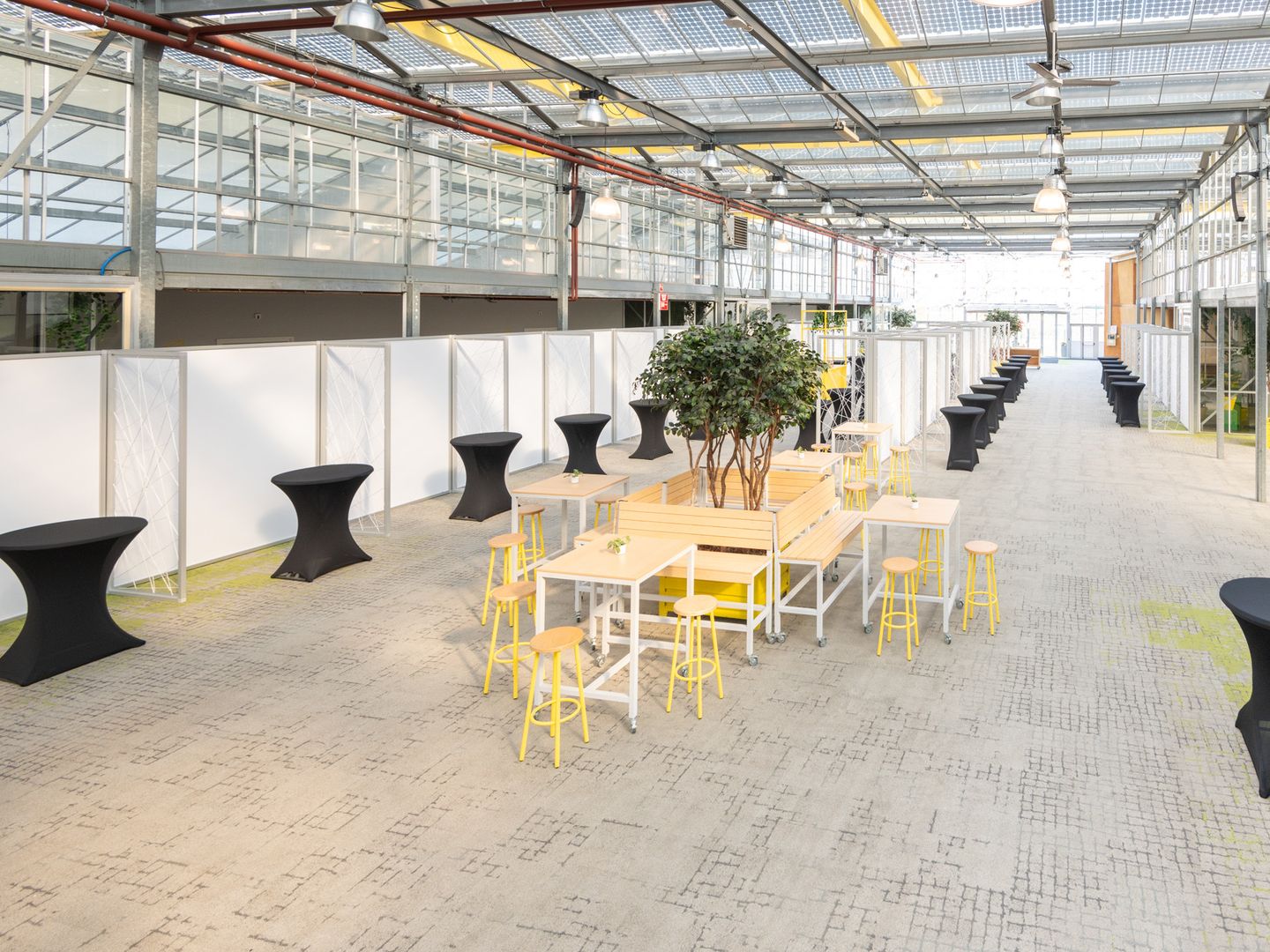 De lichte hal van EXPO Greater Amsterdam met het glazen dak, zonder markt